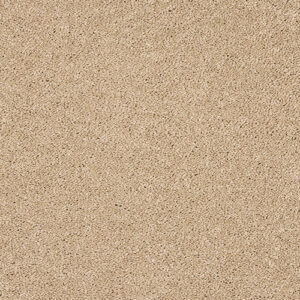 Abingdon-Velvet-Dreams-Soft-Buff at Crawley Carpet Warehouse