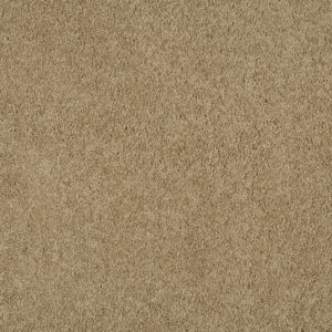 Magical Feeling Camel Coat at Crawley Carpet Warehouse
