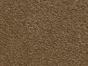 Satino Royale Little Bear at Crawley Carpet Warehouse